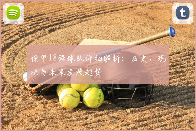 德甲18强球队详细解析：历史、现状与未来发展趋势